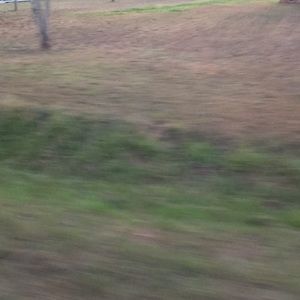 Meet your Posher, Jaylen